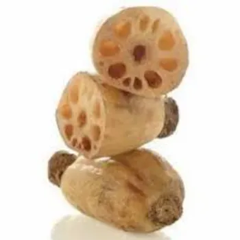 Fresh Lotus Root